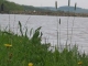 Lacul Chisineu Cris - chisineu-cris